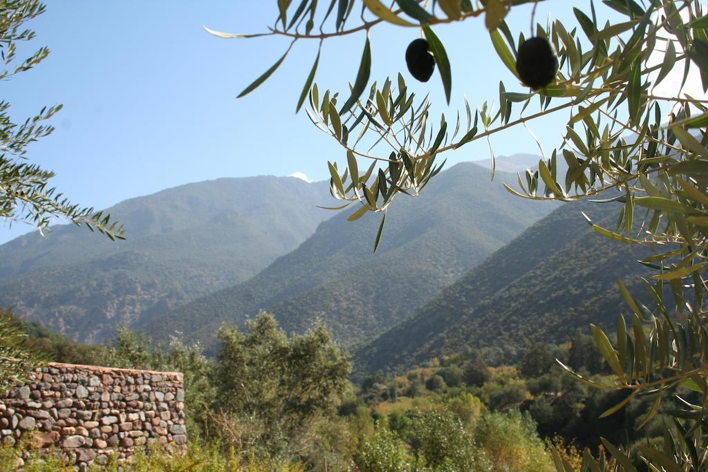 Kasbah Africa Bed & Breakfast Уирган Екстериор снимка